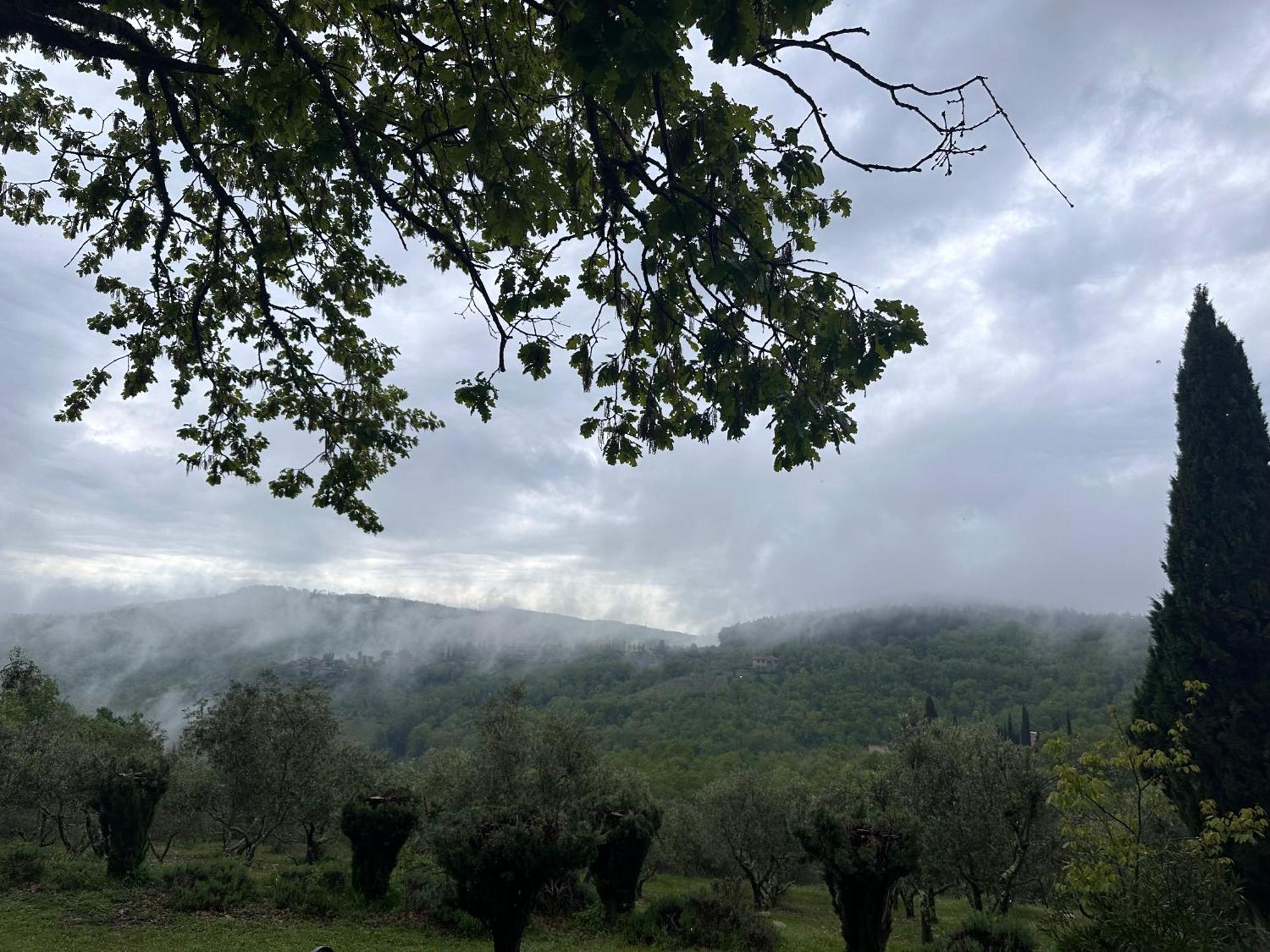 Podere Sagna Castellina in Chianti