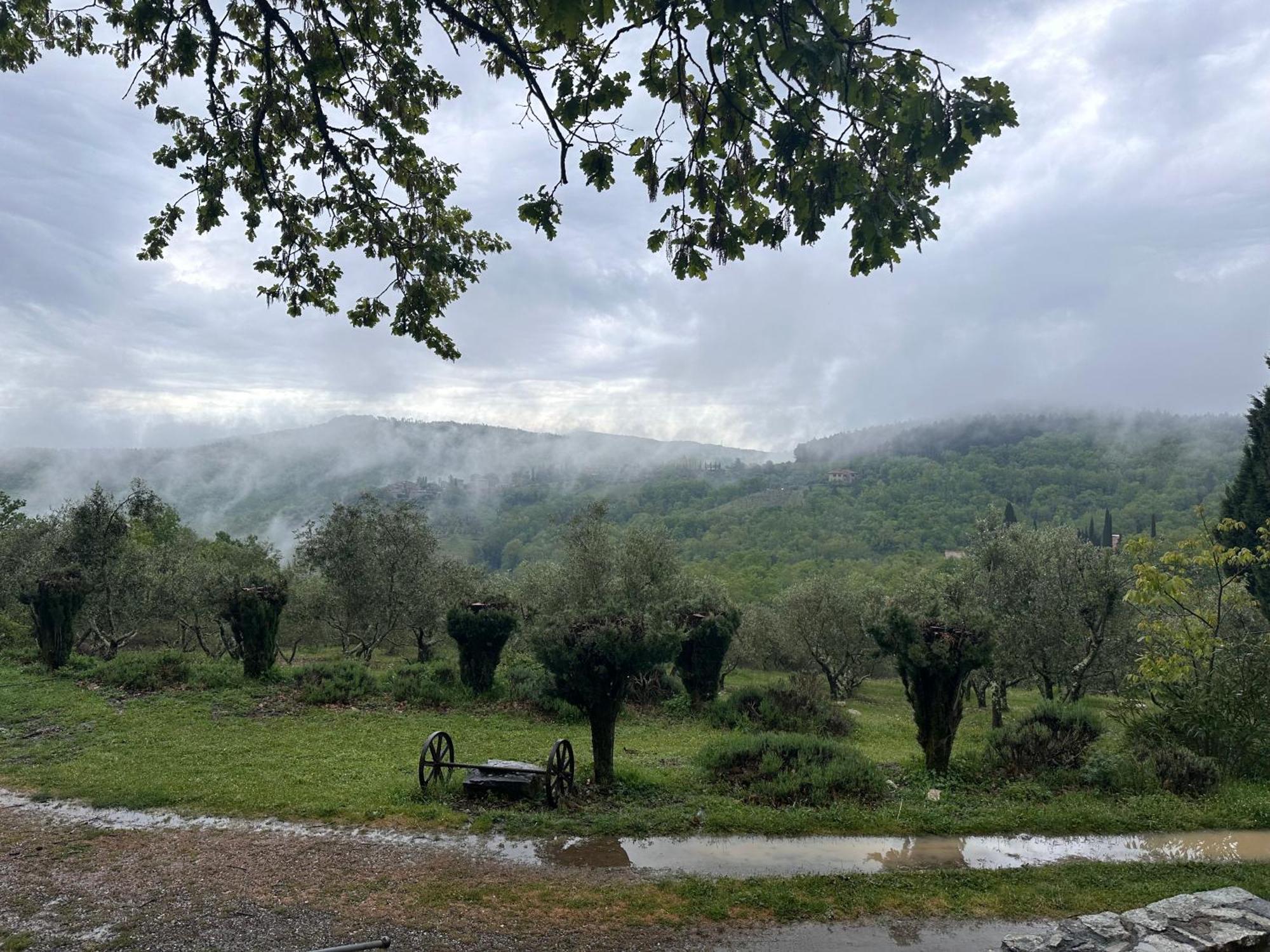 Podere Sagna Apartment Castellina in Chianti