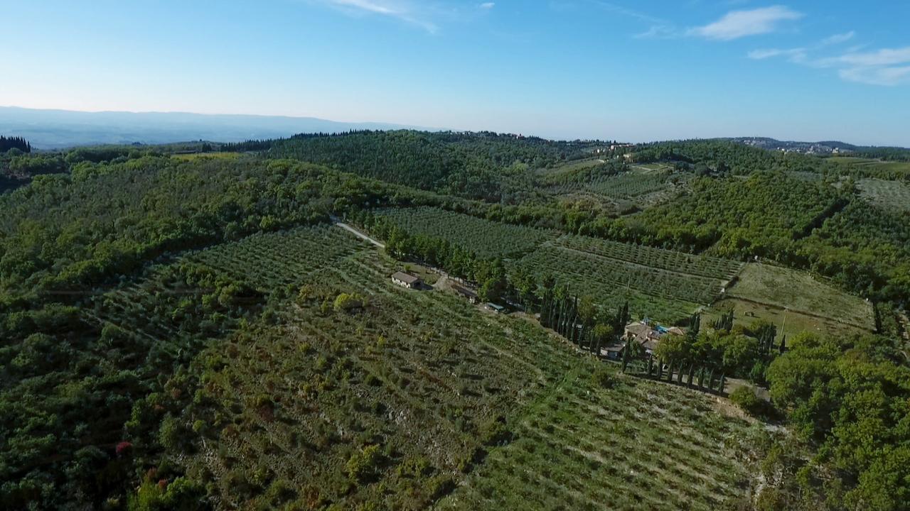 Apartment Podere Sagna *