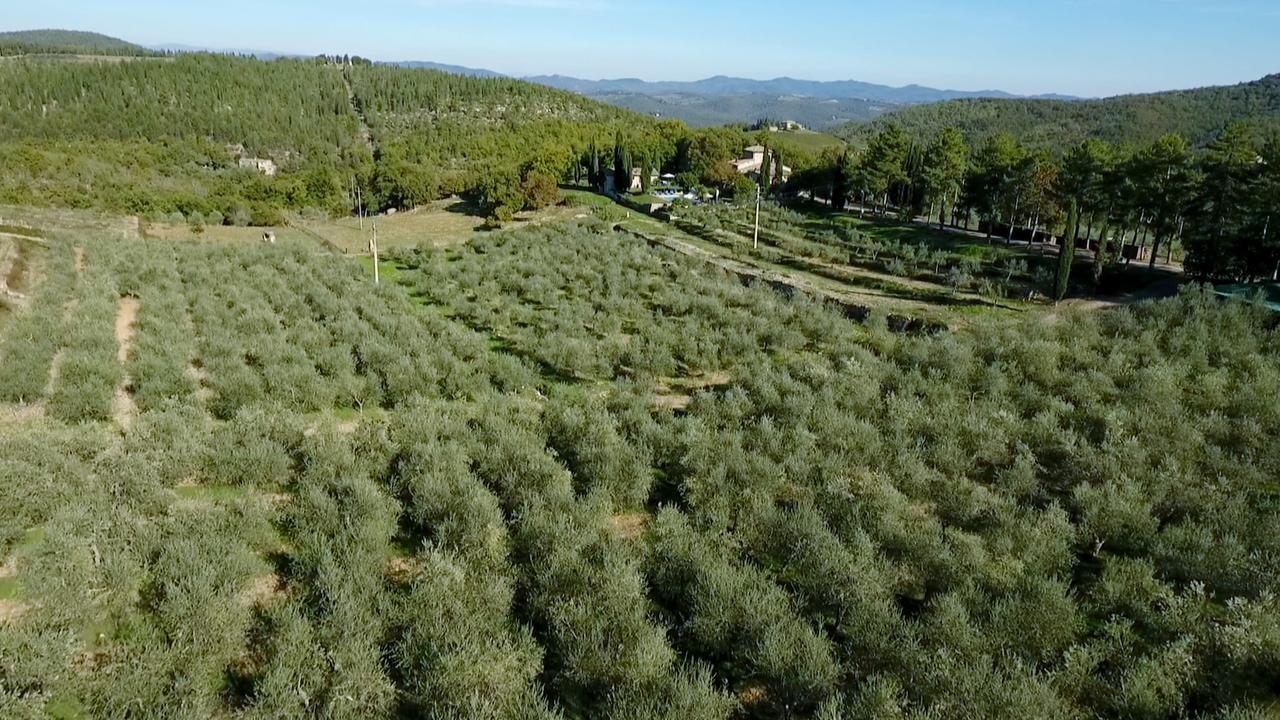 Podere Sagna Apartment *